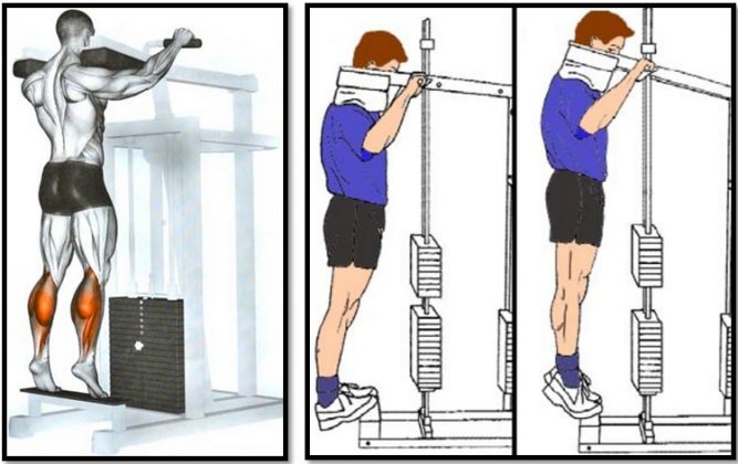 How To Calf Raise Plate Loaded Variation Exercise Video Guide