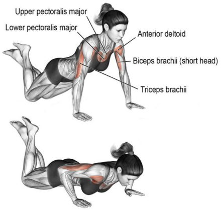 PUSH UPS VARIATION GUIDE