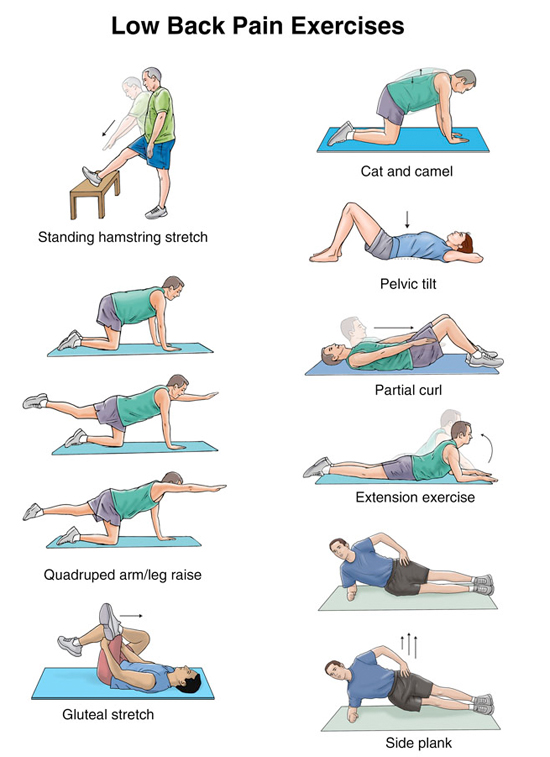Low back Pain Exercise