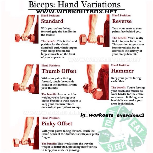 Biceps: Hand Variations