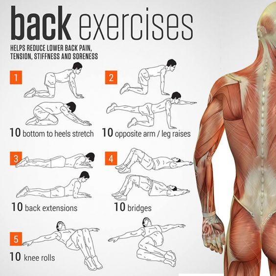 Back exercises