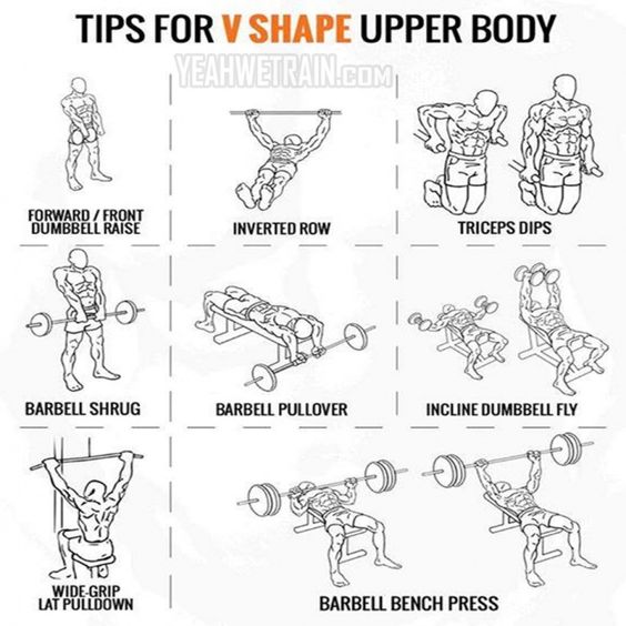Tip for V shape upper body