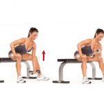 Concentration Biceps Curl