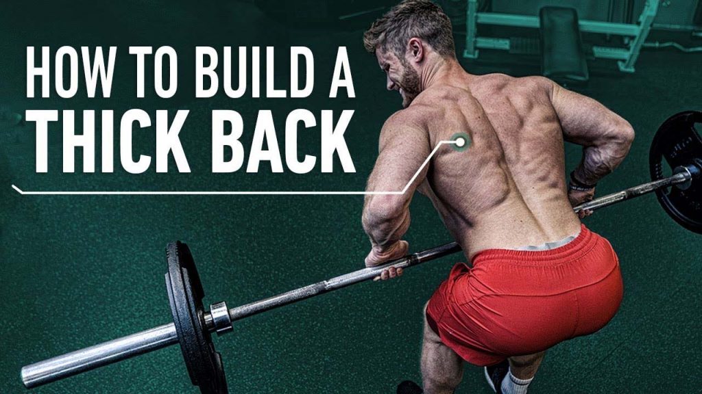 Best Back and Biceps Strength Training | Exercises