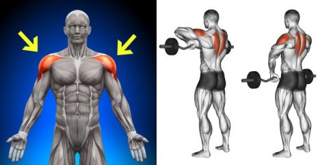 Ways To Shape And Form Your Shoulders