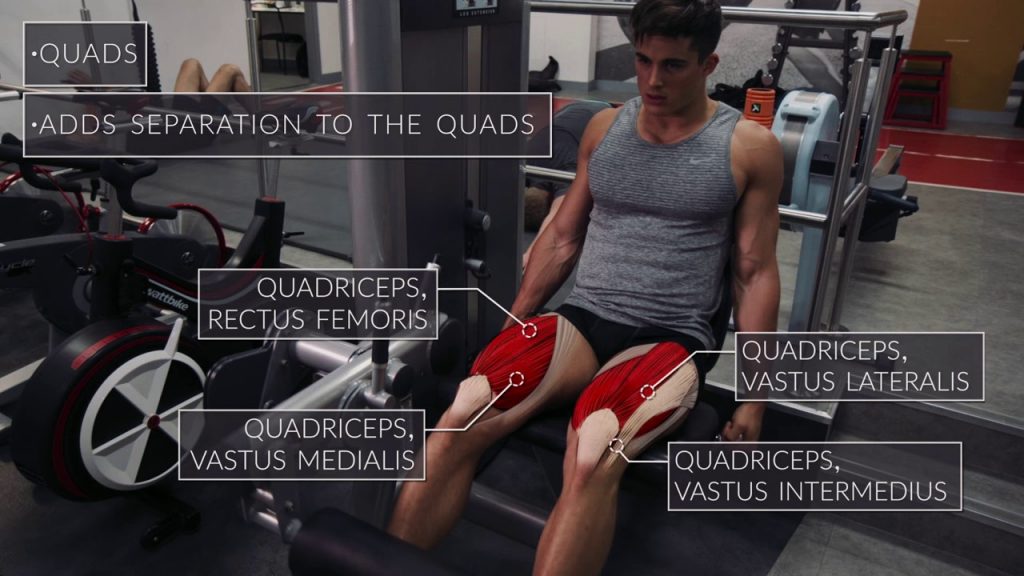 Exercise Anatomy Legs Workout