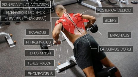 The Best Science-Based Back Workout