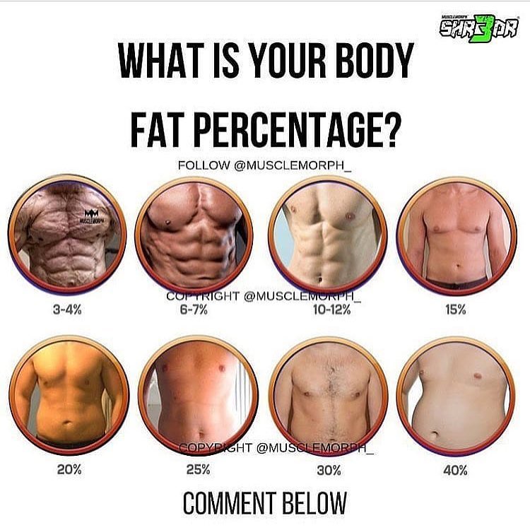 Fat Percentage