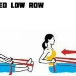 Seated Low Row