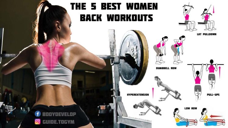 The 5 Best Back Muscle Workouts for Women , Training Program