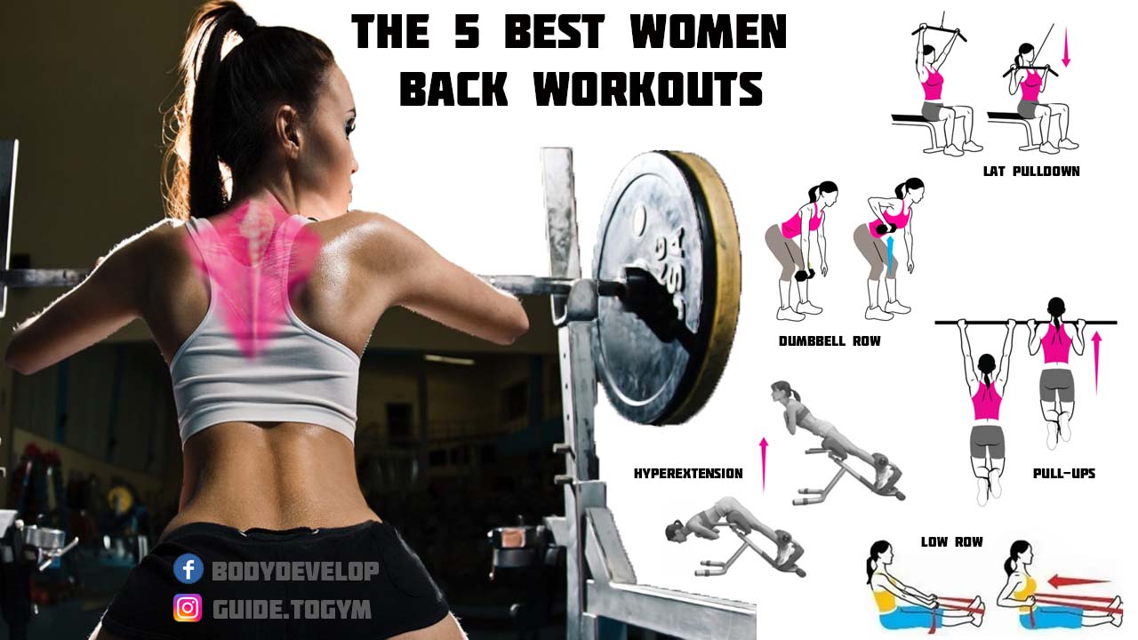Best Back Muscle Workouts