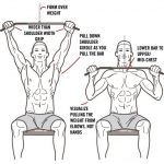 Сorrect exercises: thrust to the chest