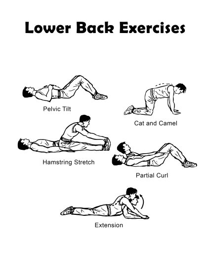 Lower back exercises