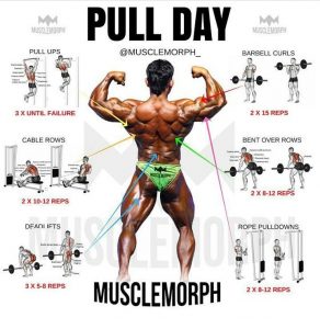 pull day exercises