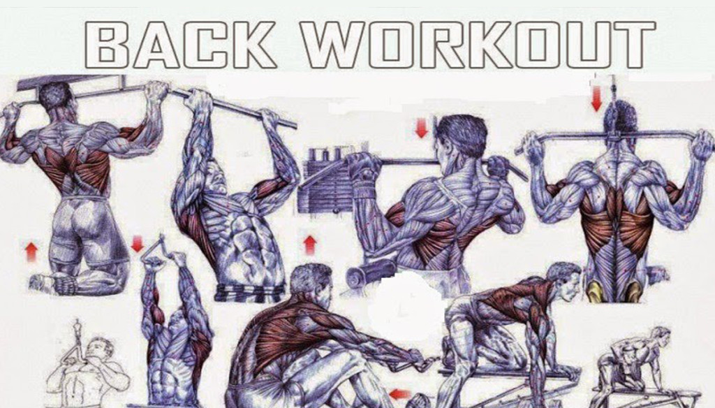 The Best Back Exercises For Mass