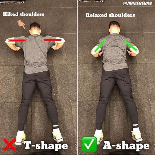 hand position for pushups