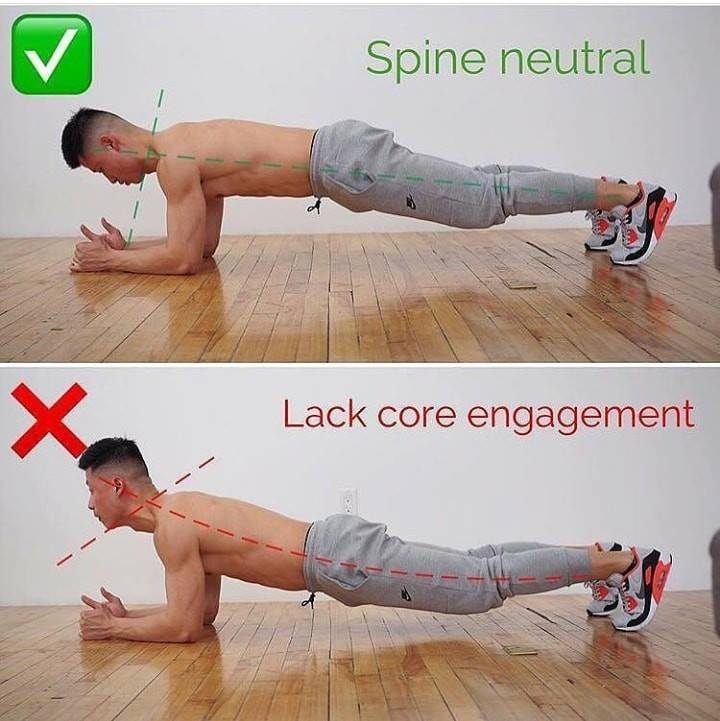 correct position of the back at the plank