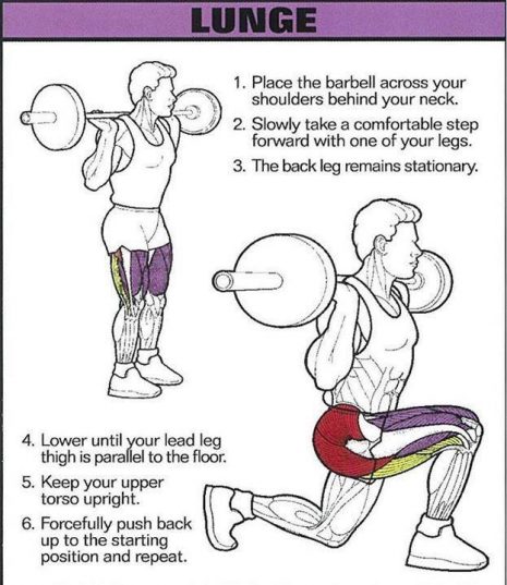 Сorrect exercises: Lunge