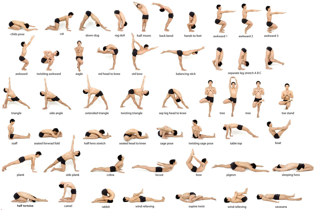 Yoga Complexes of exercises for beginners