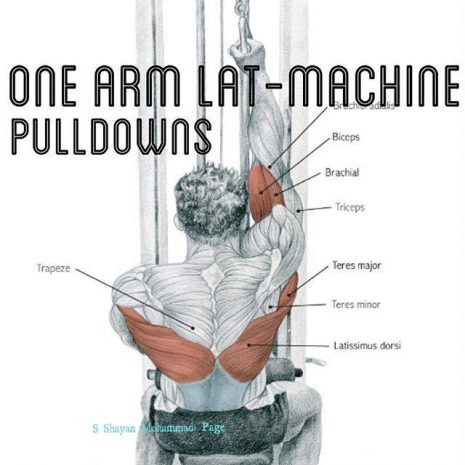 one arm lat -machine pulldowns