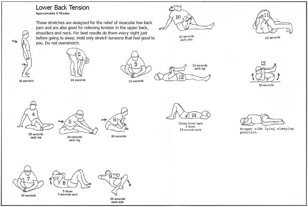 Back Care Exercise Chart