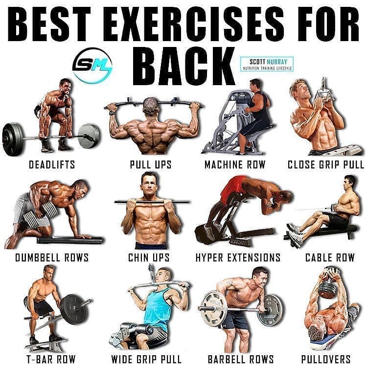 Best exercises of back