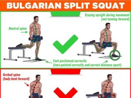 Bulgarian Split Squat