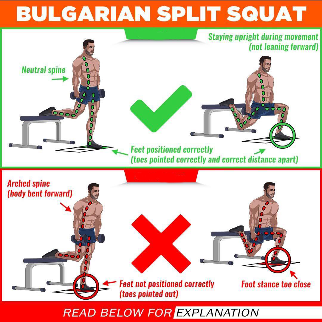 Bulgarian Split Squat