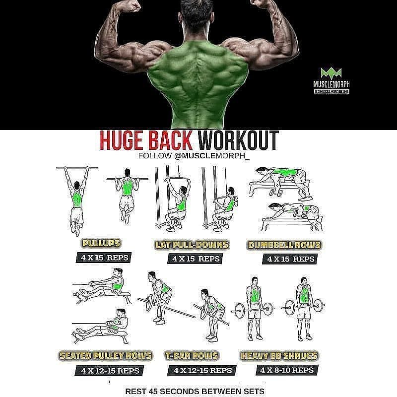 Huge back exercises