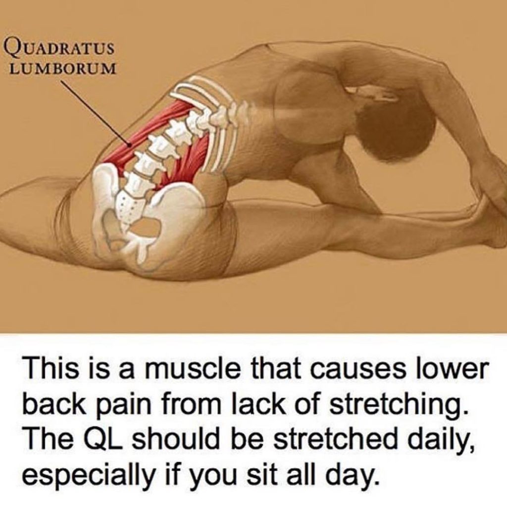 stretching of abdominal muscles