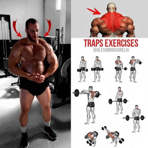 trapeze and back exercises