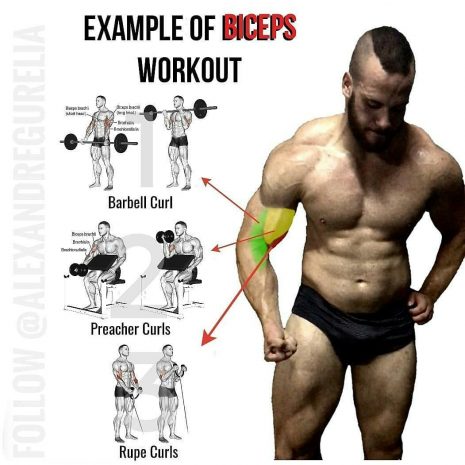 Training biceps exercises