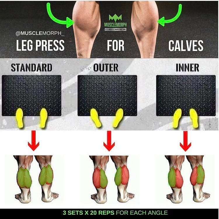 Сorrect Legs exercises 