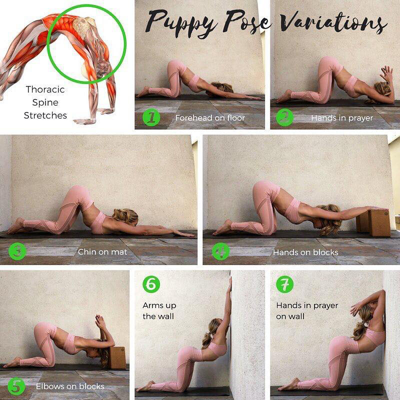 Сorrect Yoga exercises: puppy pose variations.