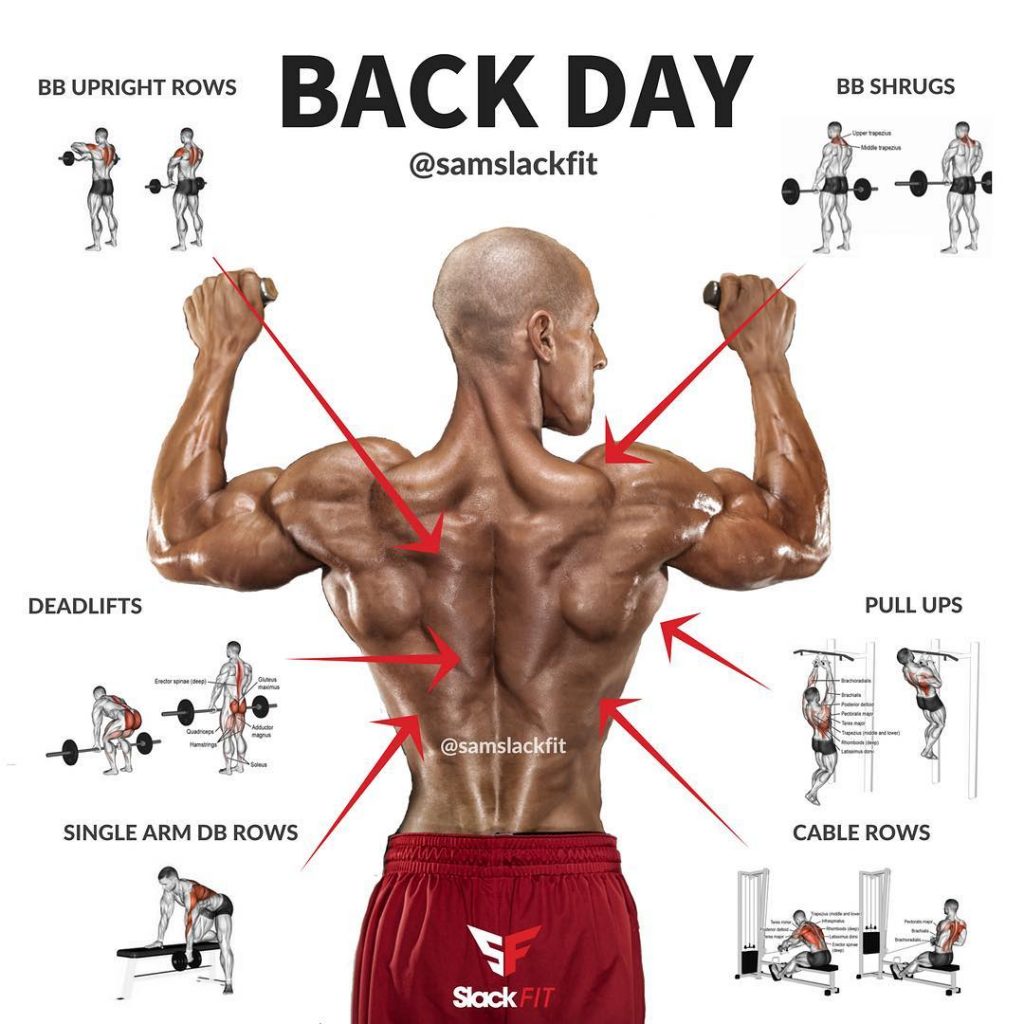back exercises