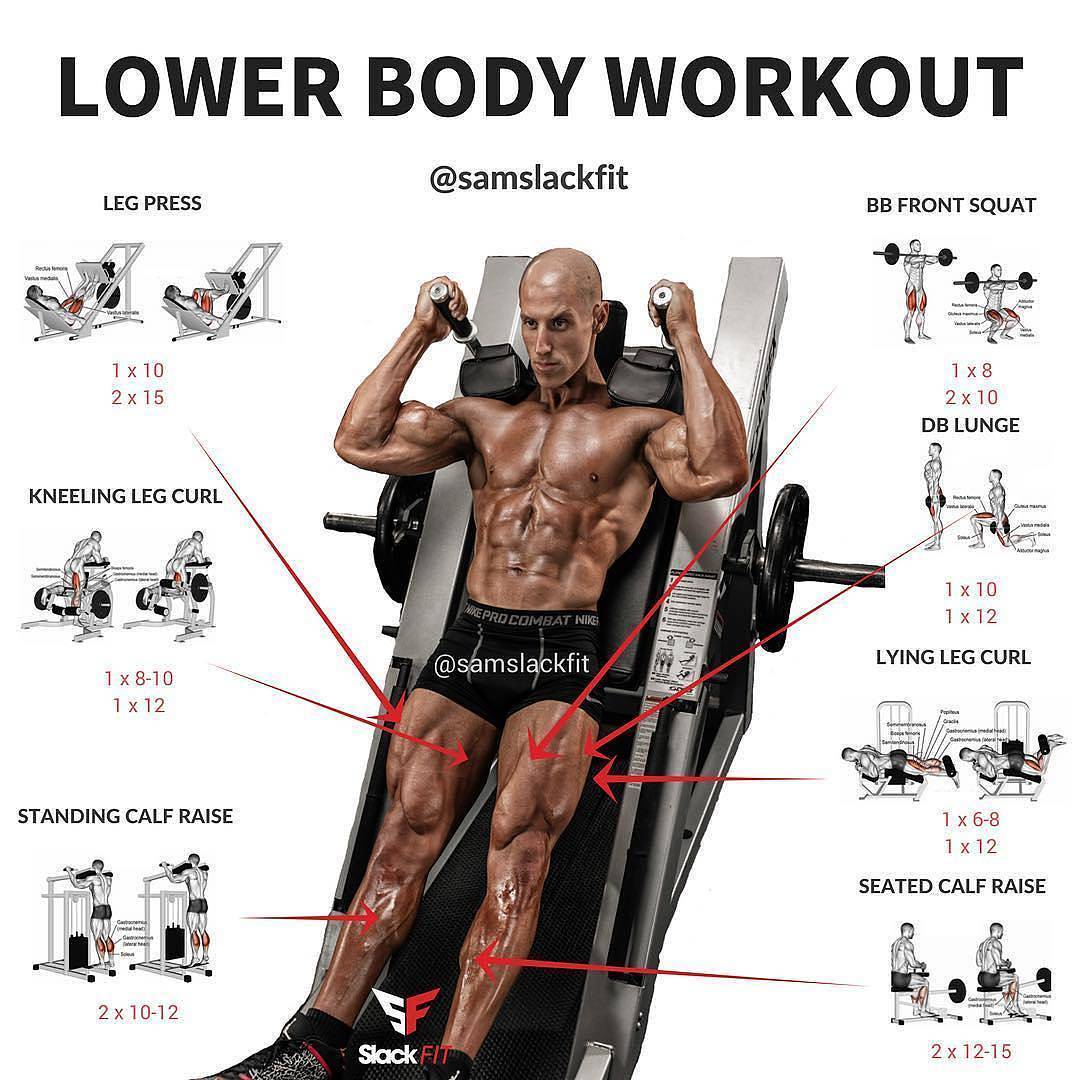 LOWER BODY WORKOUT