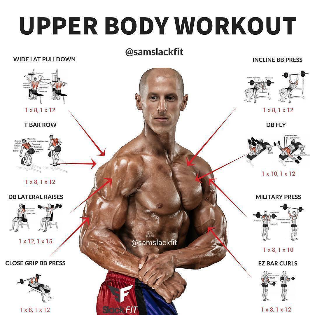 Upper body workout reddit