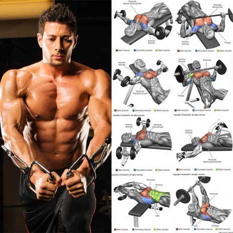 pump the muscles of the chest