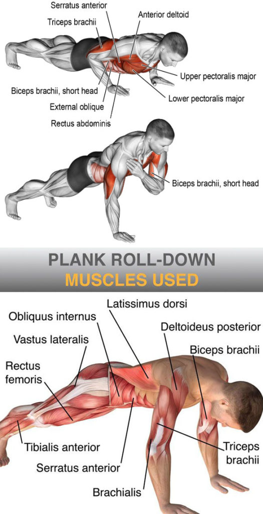 Correctness of the Plank in the Hang