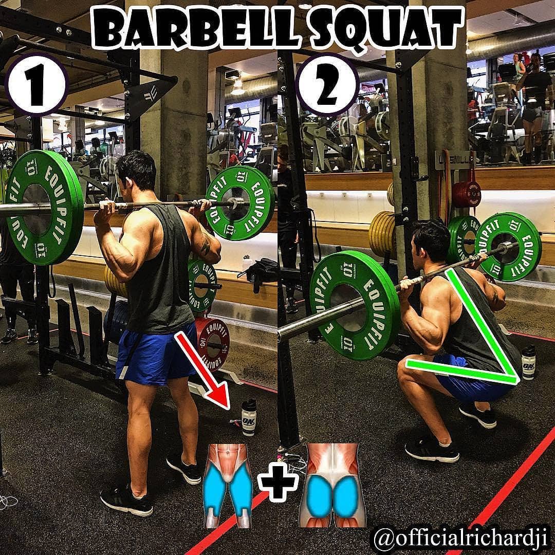 barbell squat