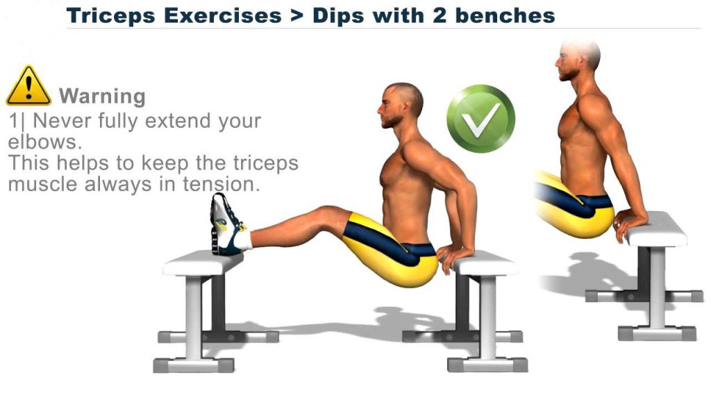 Triceps Exercises dips with 2 benches