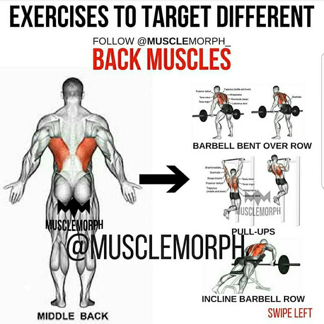 Exercises to target different Back muscles