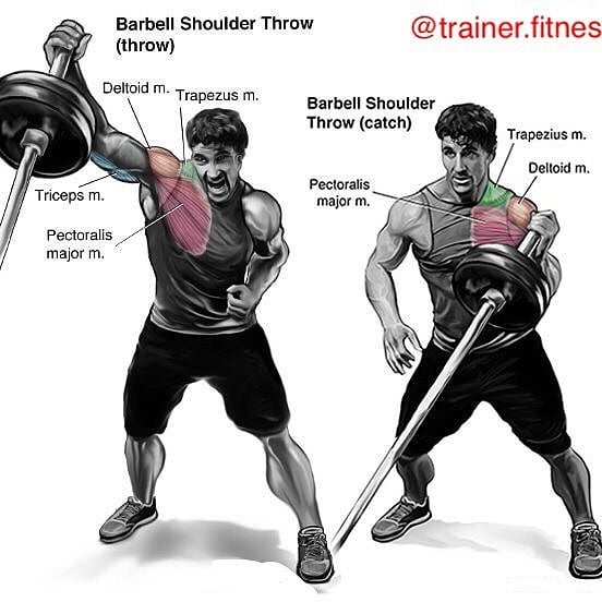 shoulder exercises with burbell