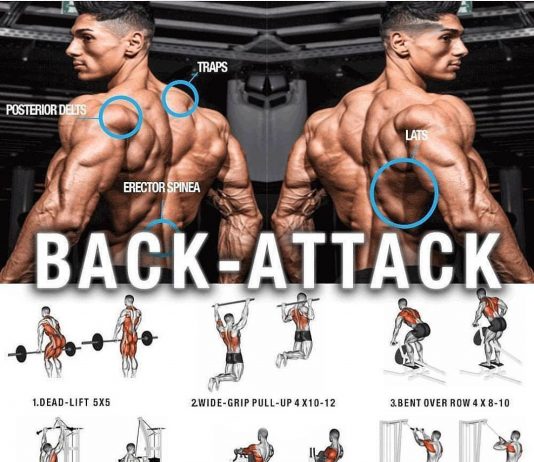 Attack Huge Back