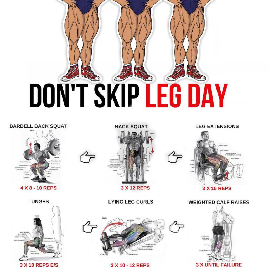 KILLA QUADS WORKOUT | Videos & Guides