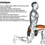 Lunges