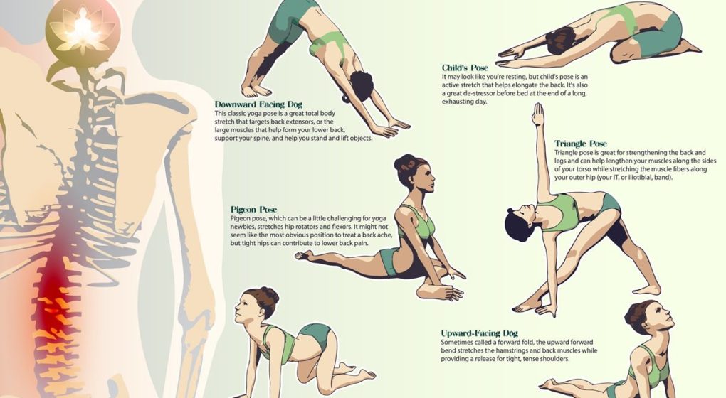 Best Yoga Positions for Back Pain