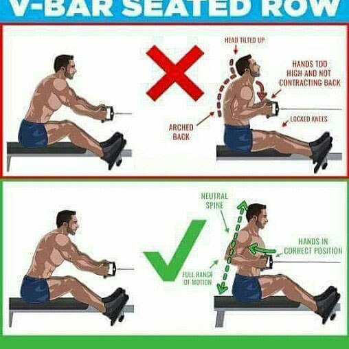 V-Bar seated row exercises