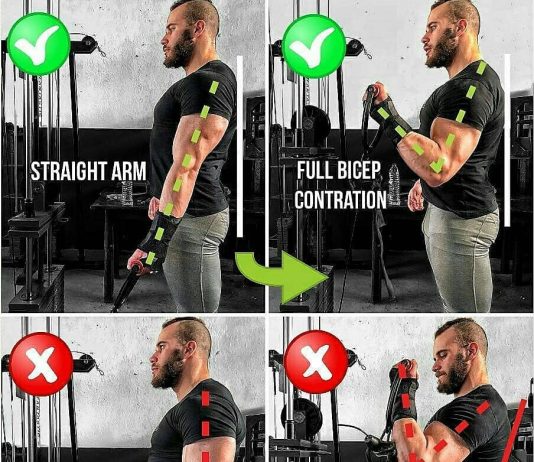 Biceps Cable Curl: Techniques