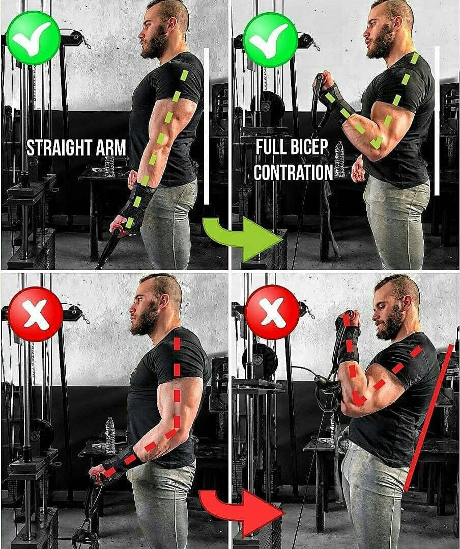 Biceps Cable Curl: Techniques